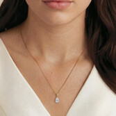 Photograph 2