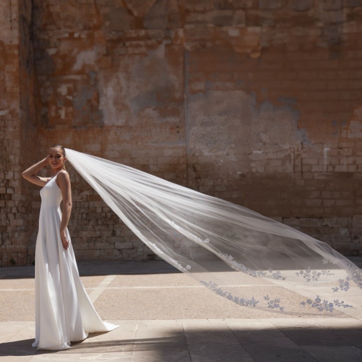 Bianco Elfenbein einstufiger Kathedralenschleier mit Spitzenapplikationen S519