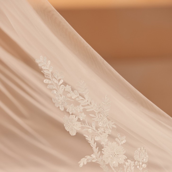 Bianco Ivory Single Tier Cut Edge Cathedral Veil with Lace Train S456