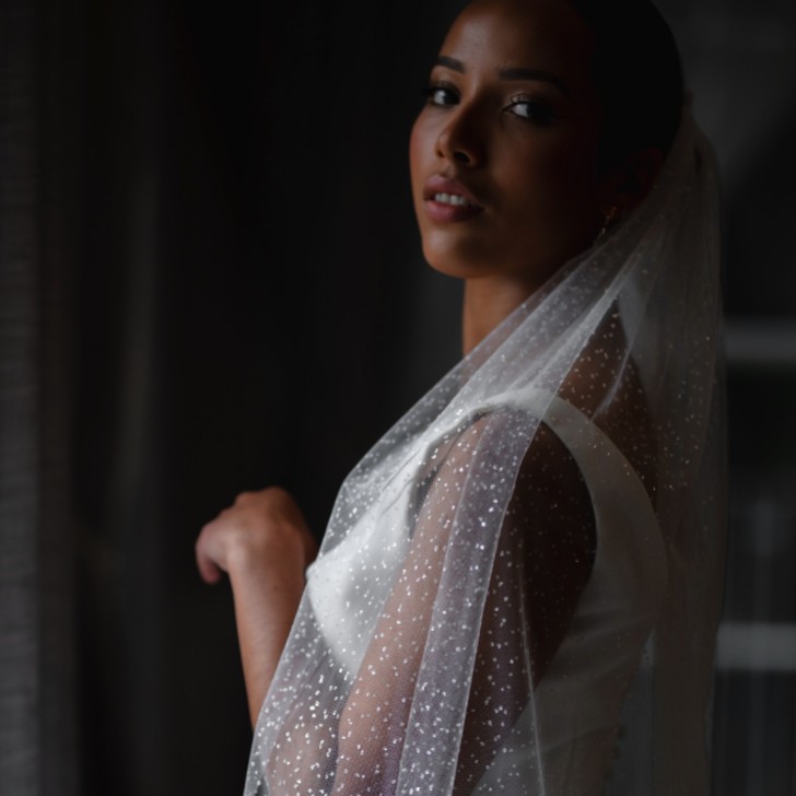 Linzi Jay Velo da sposa a un piano in tulle scintillante LA602