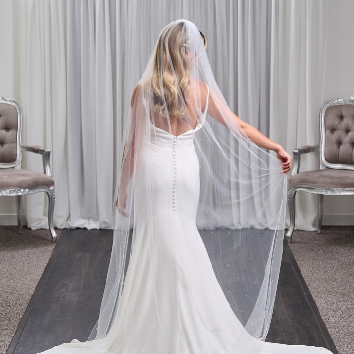 Lovington Langer Elfenbeinfarbener einstufiger Schleier mit verstreuten Diamanten und Kordelrand