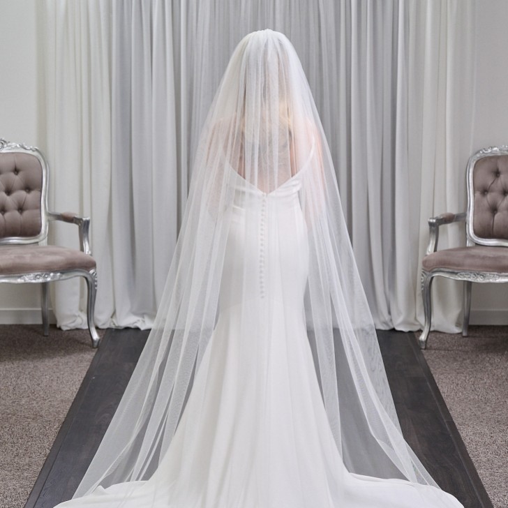 Pasadena Ivory Single Tier Lace Leaves Chapel Veil
