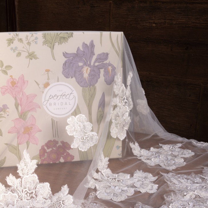 Perfect Bridal Ivory Single Tier Beaded Floral Lace Cathedral Veil with Motifs