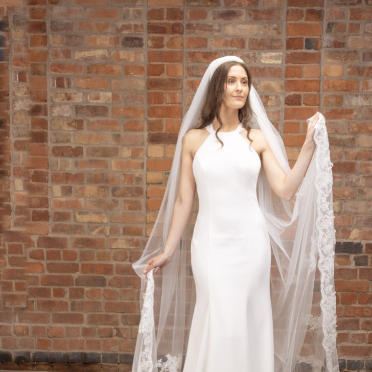 Perfect Bridal Ivory Single Tier Corded Lace Cathedral Veil with Motifs