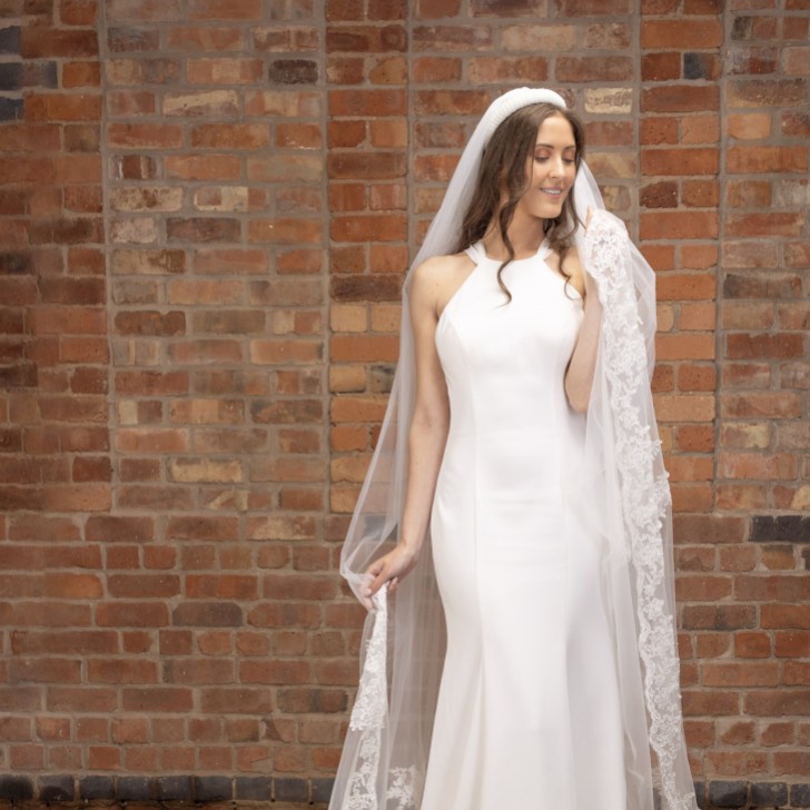 Perfect Bridal Ivory Single Tier Corded Lace Cathedral Veil with Motifs