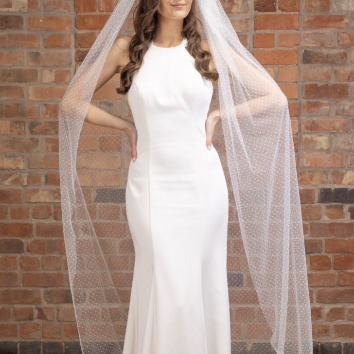 Perfect Bridal Velo avorio a pois a un solo livello, lungo fino a terra
