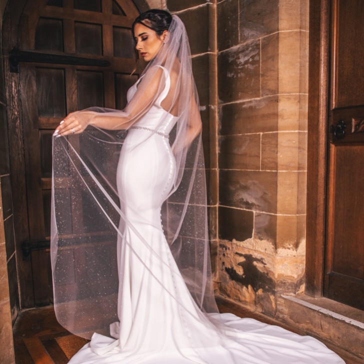 Perfect Bridal Ivory Single Tier Sparkly Glitter Tulle Chapel Veil