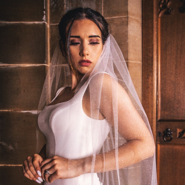 Perfect Bridal Ivory Single Tier Sparkly Glitter Tulle Chapel Veil