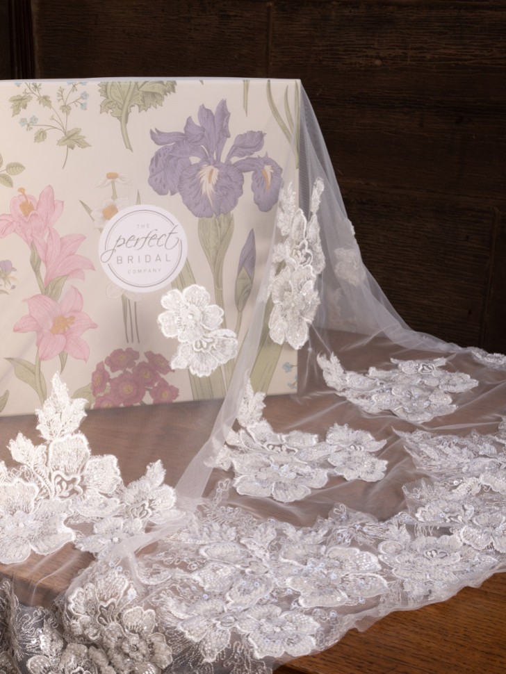 Perfect Bridal Ivory Single Tier Beaded Floral Lace Cathedral Veil with Motifs