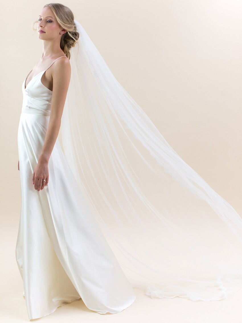 Photograph 6