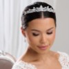 Bridal Hair Bun with Tiara