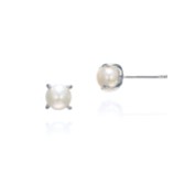 Zdjęcie: Ivory and Co Kolczyki na sztyfcie Cairo Silver Classic Pearl