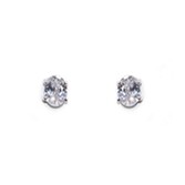 Photograph: Ivory and Co Rapture Cubic Zirconia Oval Stud Earrings