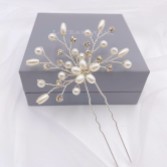 Photograph: Leia Floral Pearl and Crystal Spray Hair Pin