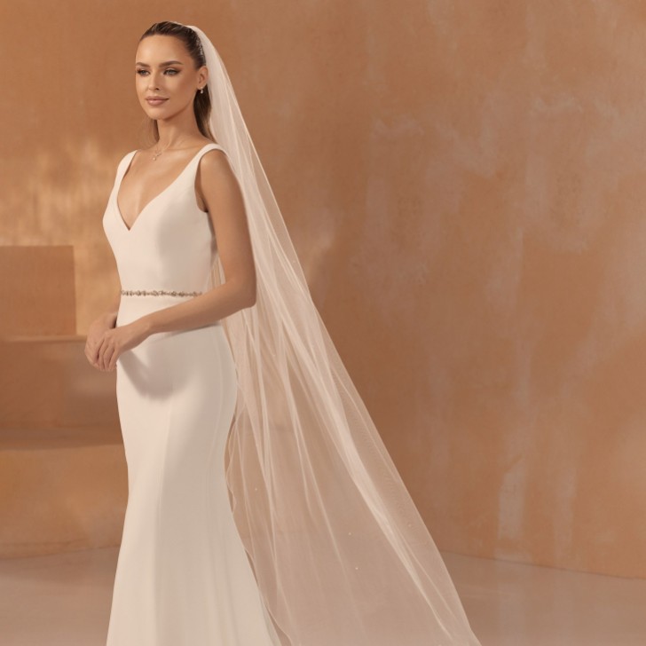 Bianco Elfenbein einstufige verstreute Perle Walzer Länge Schleier mit Corded Edge S476