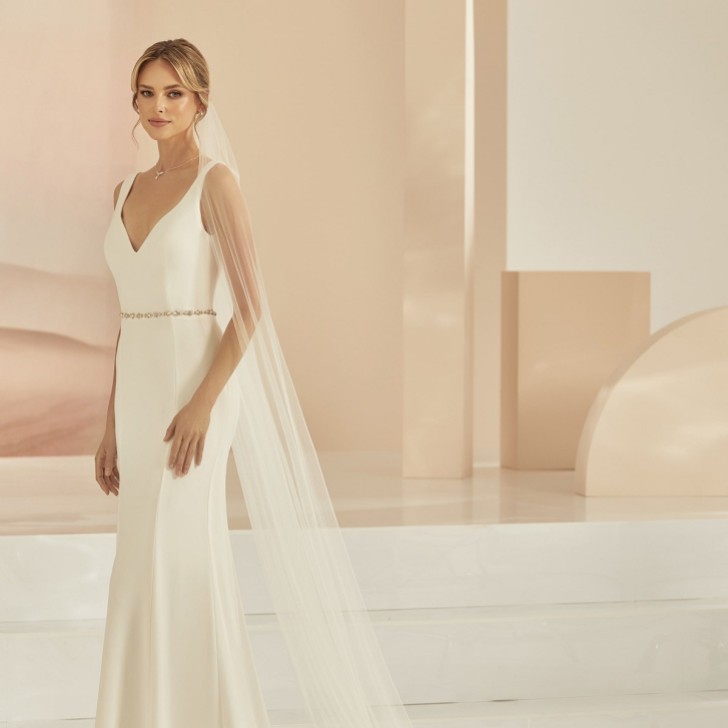 Bianco Ivory Single Tier Cut Edge Cathedral Veil with Floral Lace Train S406