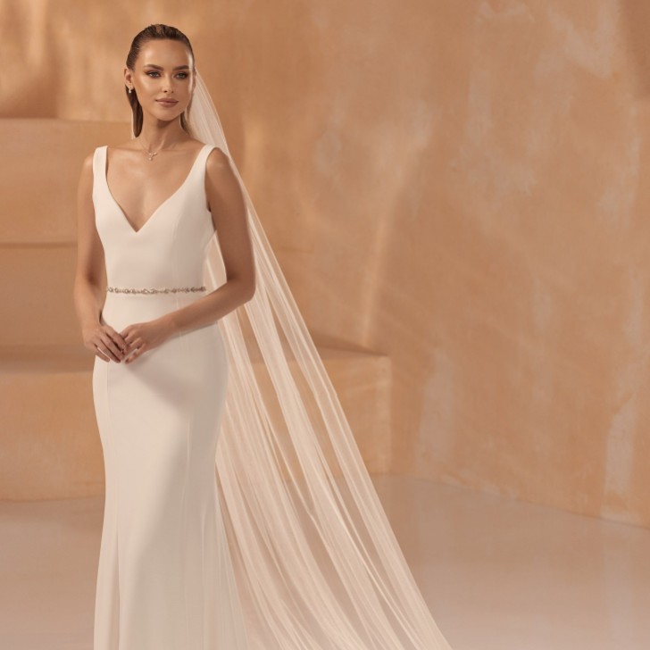 Bianco Ivory Single Tier Cut Edge Cathedral Veil with Lace Train S456