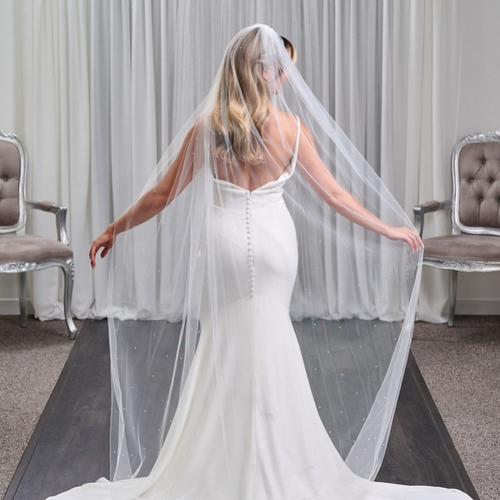Lovington Long Ivory Single Tier Scattered Diamante Veil with Corded Edge