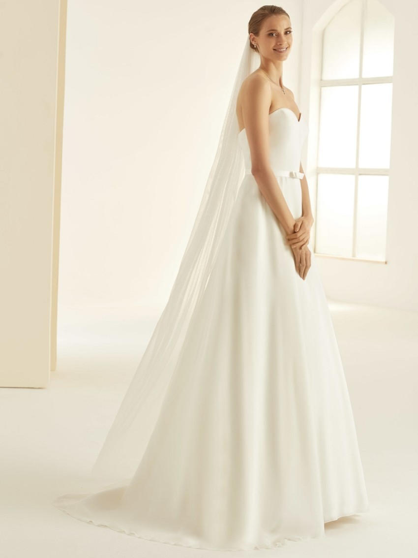 Photograph: Bianco Single Tier Glitter Tulle Floor Length Veil S361