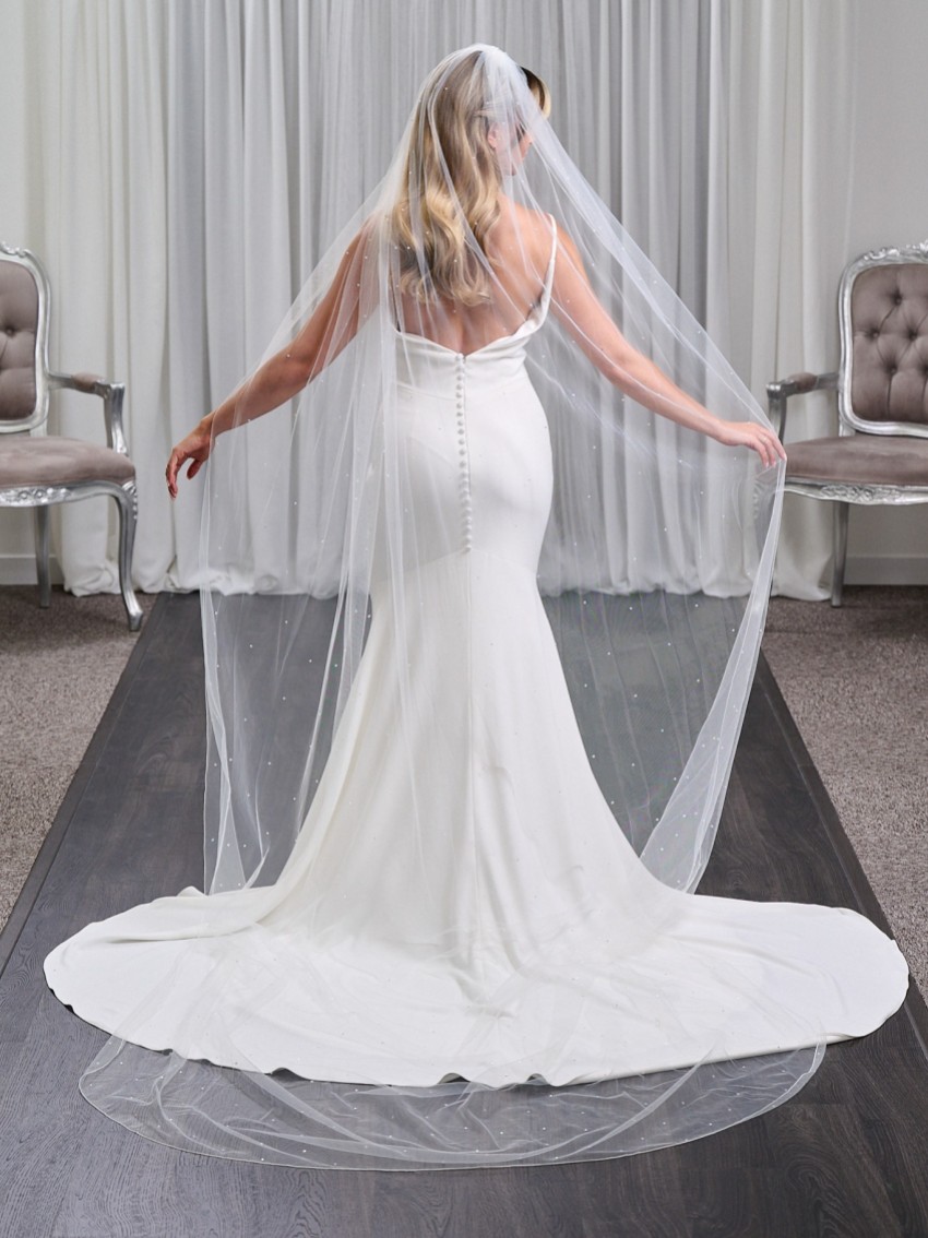 Photograph: Lovington Long Ivory Single Tier Scattered Diamante Veil with Corded Edge